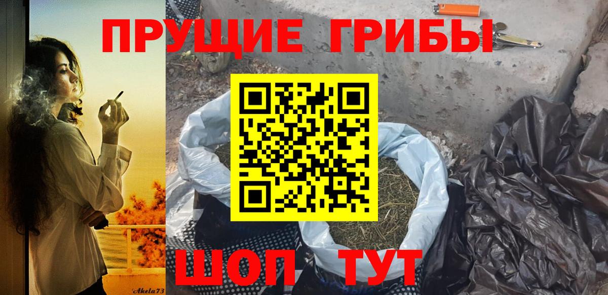 Псилоцибиновые грибы GOLDEN TEACHER Курчалой